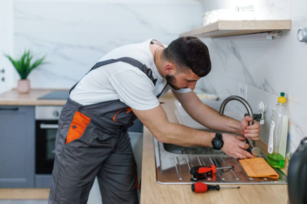 Best Same-Day Plumbing Service  in Sidney, IL