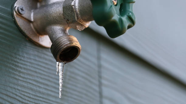 Best Sprinkler Systems  in Sidney, IL